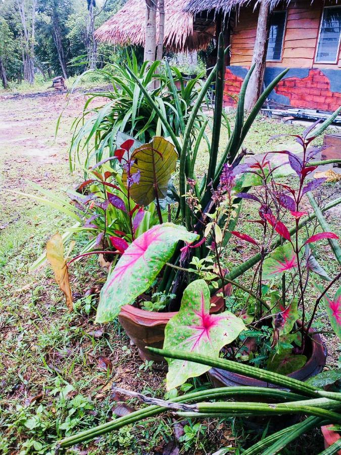 Baan Jing Jai Homestay Resort Lanta Ko Lanta Zewnętrze zdjęcie